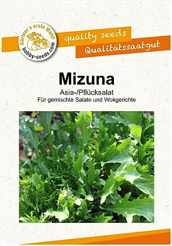 Salatsamen Mizuna Asiasalat Pflücksalat Portion