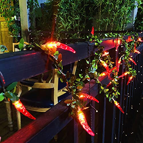 Riaxuebiy 9.8FT 20LED Rosso Chili Luce di Stringa Pepe Fata Luci Notturne Impiccagione Verdura Lanterne al Peperoncino Ghirlanda Twinkle Cucina di Natale Luce Decorativa (a Batteria, Chili-B)