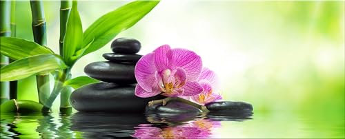 artissimo, Glasbild XXL, 125x50 cm Querformat, AG5409A, Blumen und Natur: Orchideen und Steine, Bild aus Glas, Wanddeko hell, Wandbild Wohnzimmer modern, Spa Zen grün