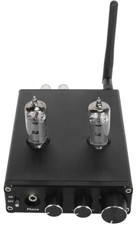 Amplificatore Valvolare, Amplificatore Valvolare 5.1 100‑240 V Trasmissione Stabile a 2 per Soggiorno (Spina europea Tubo elettronico 6K4)