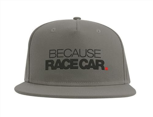Lauthings Because Race Car Snapback Casquette Fullcap brodée Gris, gris, Taille unique