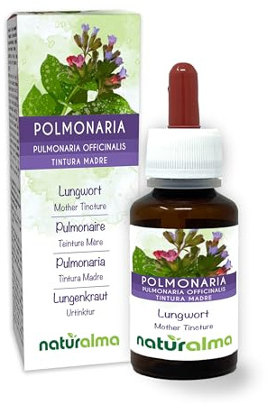 Pulmonaria (Pulmonaria officinalis) hierba con flores Tintura Madre sin alcohol Naturalma - Extracto líquido gotas 60 ml - Complemento alimenticio - Vegano