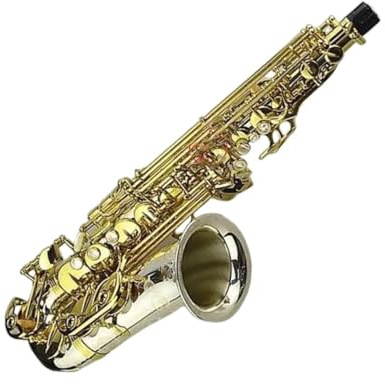 Professionell Saxofon Professionell Altsaxofon Nickelförsilvrad Munstyckesväska Och Tillbehör Ingår