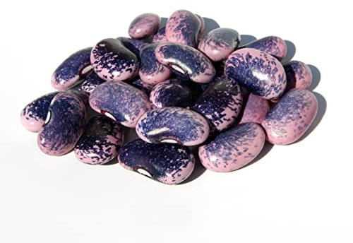 10 Samen Prunkbohnen Feuerbohnen Preisgewinner Garten Pflanze Gemüse Bohnen