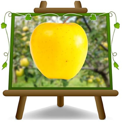 pommier Golden B Plante fruitière vieux sur un pot de 20 - max 170 cm - 2 ans