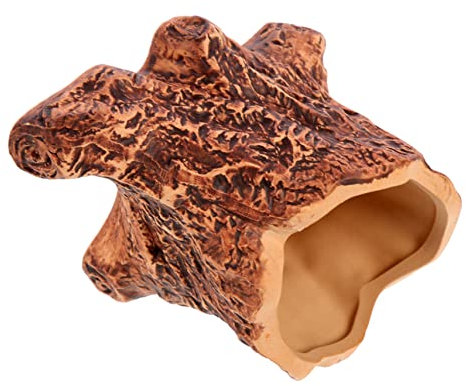 ORFOFE Pot De Fleurs De Racine d'arbre pour Plantes Succulentes Et Cactus, Petit Jardinière Décorative D'intérieur Et Extérieur, Support Ornemental Naturel pour Bureau Ou Jardin