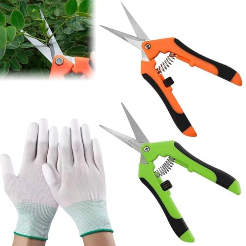 2 Piezas Tijera Podar Pequeña Para Jardinería, Punta Recta Profesionales para Recoger Frutas árbol Flor Ramas, Tesoura de Podar Ergonómicas, para Flores, Ramas, Bonsáis, Frutas