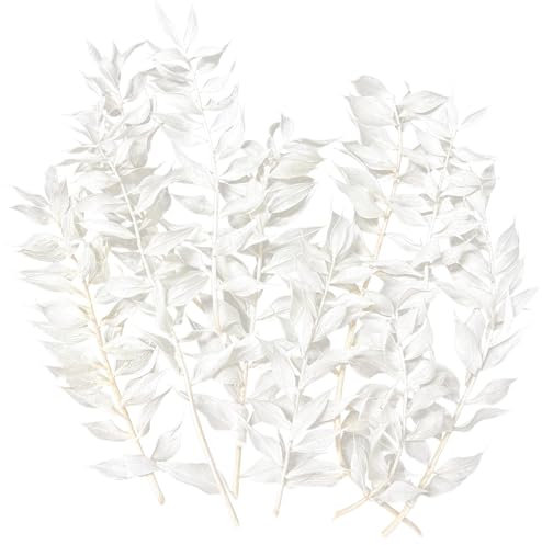 Dried Flowers, Dried Ruscus, Dry Dried Flowers Crafts for Diy Arts Resin Scrapbooking Jewelry Making Floral Decorations Cupcake Decorating (White)