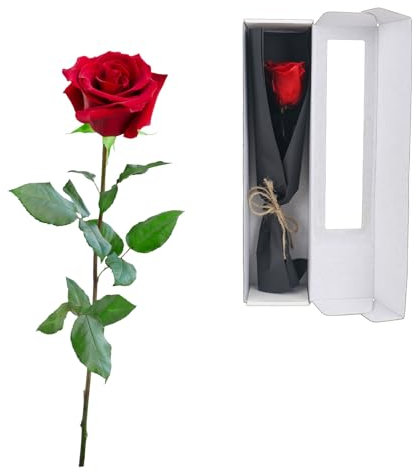 elthmpr Infinity Rose rosa am Stiel - Echte konservierte Rose in Geschenkbox für Frauen in Ihrem GeburtstagsjubiläUm Muttertag