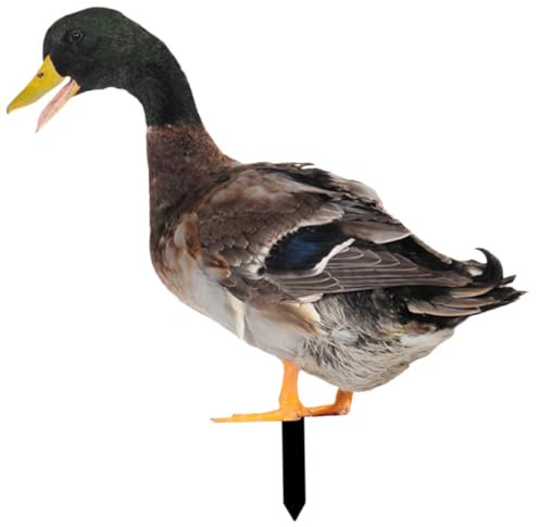 VANZACK Décoratif de Canard pour Jardin Signe de Jardin Élégant Détails Réalistes Effet Décoratif pour Aménager Votre Extérieur
