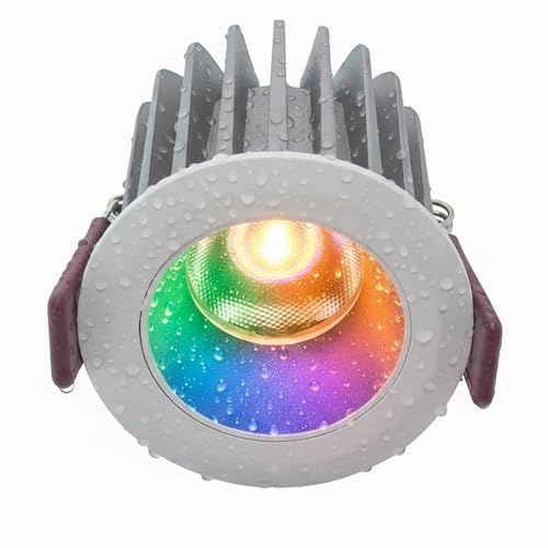 Planetitaly Faretto da Incasso Impermeabile IP65 Design Tondo LED Spot 10W RGB Multicolore, Effetti Luce Colorata per Esterni, Pensilina, Tettoia, Porticati, Bagno, Alimentazione 24V, (Spot 10W IP65)
