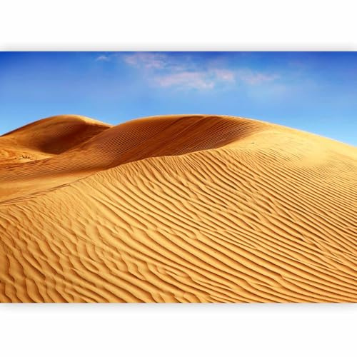 murando Photo Wallpaper Landscape 200x140 cm / 79x56