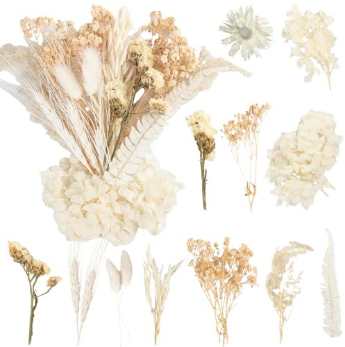 LAUMOE Trockenblume Beige, Deko Blumen Pampasgras Klein Getrocknete Blumen Trockenblumen Zum Basteln Set Trockenblumen Frühling Bunt für DIY Hochzeitsdeko Wohnkultur