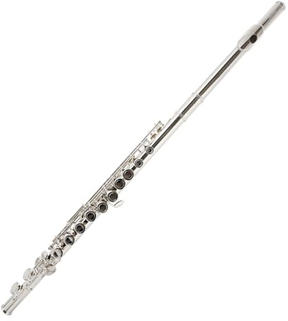 tvärflöjt nybörjare 16 Hål Stängt Hål Silverflöjt Nybörjare Spelar Instrument C Nyckelflöjt