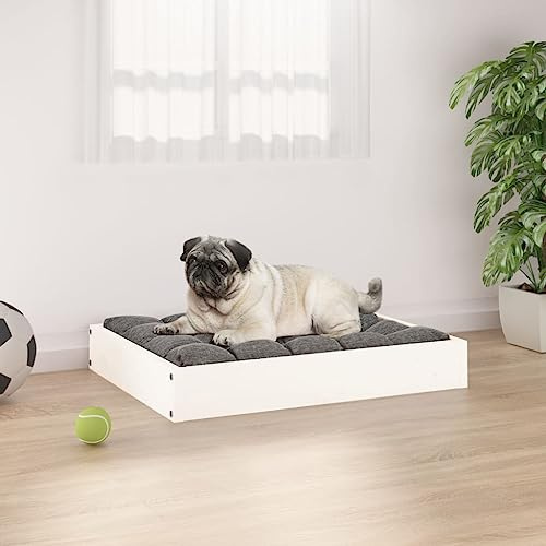 Teenpull Letto per cani bianco 61,5 x 49 x 9 cm, robusto legno di pino massiccio, durevole, ideale per cani, comodo posto letto, design elegante