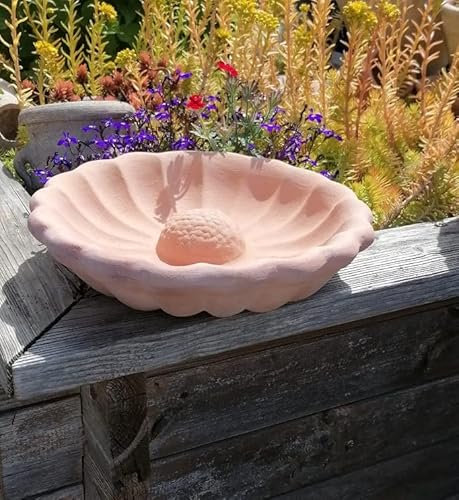 Hochwertige Vogeltränke Futterschale für Vögel Insektentränke aus Terracotta Terrakotta