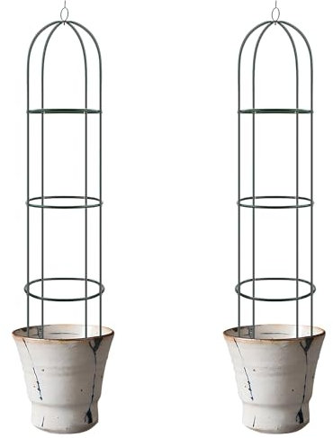 Albert Austin 2x Garden Trellis for Climbing Plants Outdoor 1.9M Metal Garden Obelisks for Climbing Plants Shrubs Roses Rustproof Metal Garden Plant Support Trellis for Plants Flowers Vegetable Fruits