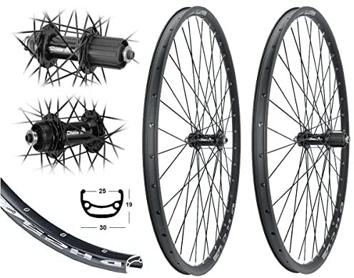 Bärwinkels LAUFRADSATZ 28 / 29 Disc MTB 8/9/10 Fach Hohlkammer 25-622 Centerlock Scheibenbremse Industrielager schwarz