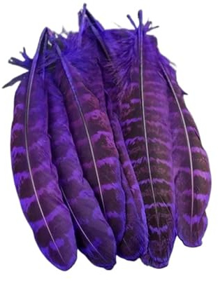 Plumes de faisan colorées, adaptées à la volaille, à l'artisanat, aux accessoires, à la décoration, à la décoration en plumes(Purple,20 Pieces)