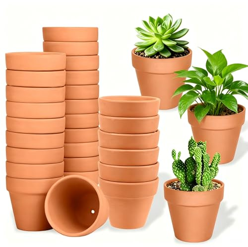 Forbabe 30 macetas de barro de 4 x 4,8 cm pequeñas