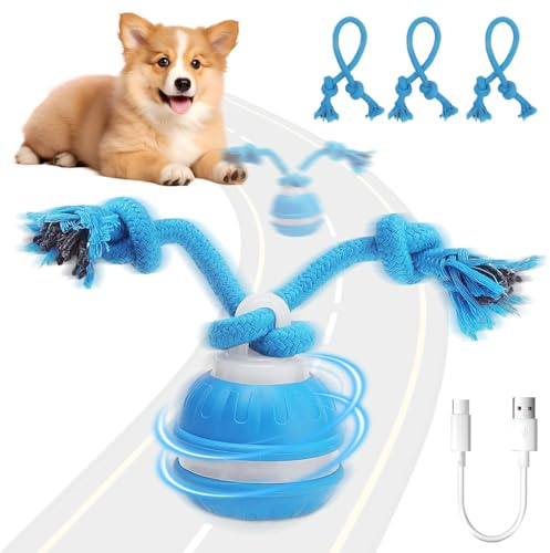 Jouet Interactif Chien, Jouet Électrique Intelligent, Balle de jeu à roulement automatique, Jouet Interactif pour Chien, Balle Chiot Qui Bouge Toute Seule, Balle Automatique pour Animaux de Compagnie