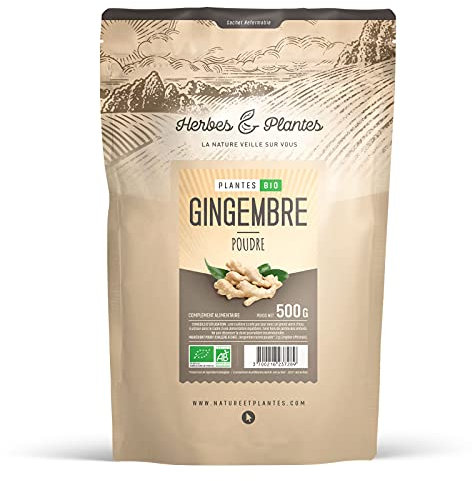 Gingembre Bio - 500 gr de poudre
