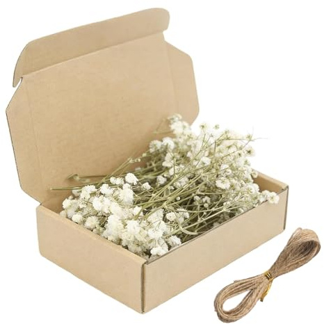 JOVYTH Confezione Gypsophila Essiccata Bianca, Mini Fiori Secchi Naturali per Artigianato, Decorazioni Nozze e Resina, con Cordino