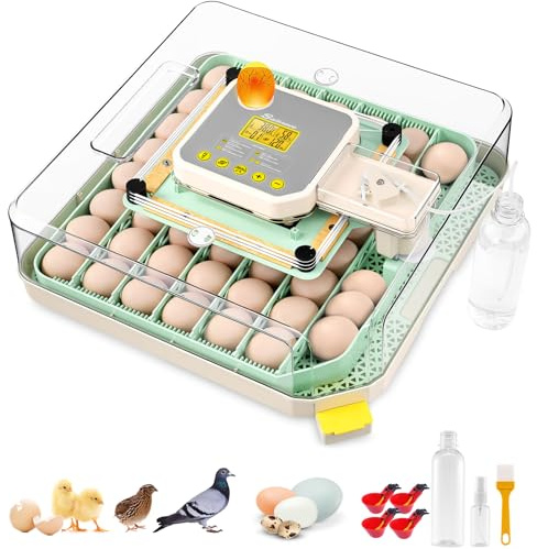 Sailnovo Incubadora de Huevos Automática 48 Huevos con Volteador Automático de Huevos, Control Preciso Temperatura/Humedad, Vista 360°, Ovoscopio Para Huevos, Para Gallina/Pato/Codorniz Verde
