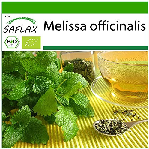 SAFLAX - BIO - Zitronenmelisse - 1000 Samen - Melissa officinalis