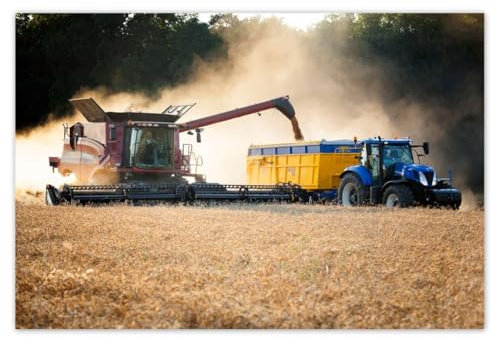 Wandsticker Dekosticker H7817M_NS1DB 155 x 105 cm