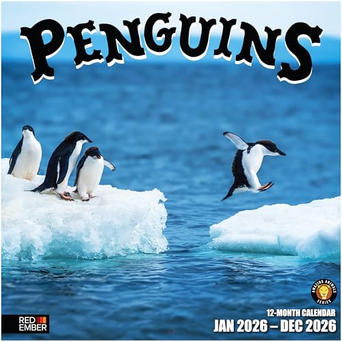 RED EMBER Penguins 2026 Wall Calendar 12 Month | 12 x 24 Open | Thick & Sturdy Paper | Giftable| Animal Calendar 2026