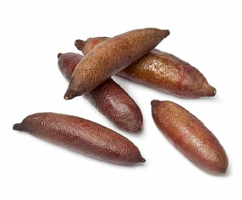 100 graines de citron caviar marron