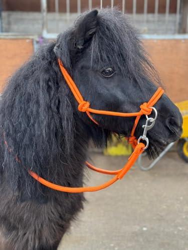 Equipride Cavezza in corda con redini per l'utilizzo di Bitless Horse Riding Full to Mini Shet 5 colori (arancione, pony)