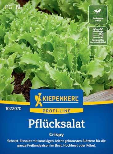 Kiepenkerl Profi-Line Pflücksalatsamen Crispy 1022070 - Knackige Salatsamen für frische Gerichte, ideal für Garten & Hochbeet, resistent gegen Krankheiten