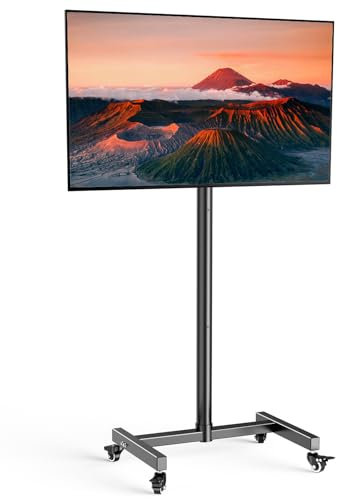 WHYFONE TV Ständer Rollbar für 17-50 Zoll TVs & Monitore, 180° Drehung von Quer- zu Hochformat Tragbarer Mobiler TV Wagen, Fernsehständer TV Standfuss Höhenverstellbar max. VESA 300x300mm bis zu 30kg