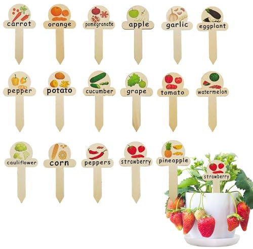 JIEBWCHA Lot de 17 étiquettes pour en bois - Marquages de jardin amusants pour accessoires de jardin, bâtons d'extérieur et terrasse - Intérieur