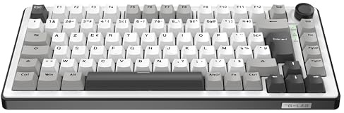 The G-Lab KEYZ Elite 300 WG - Tastiera Gamer Wireless TKL, 2.4 Ghz/Bluetooth/cablata - Tastiera meccanica Hot Swap, Interruttore Prelubrificato, Gasket 5 Strati, RGB+Macro - AZERTY FR - Windows/Mac