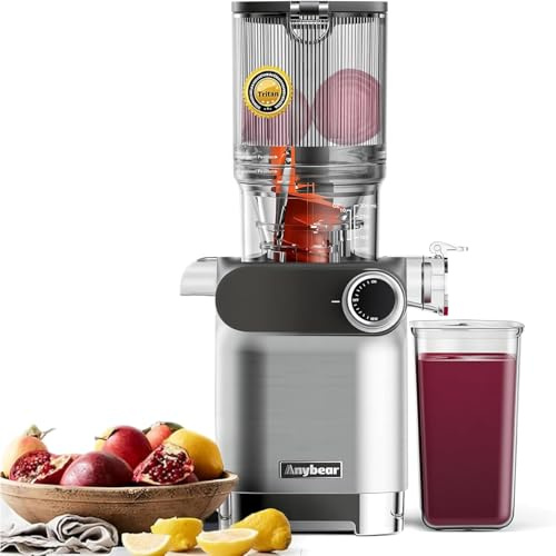 Extractor de Jugo Anybear, 200W Slow Juicer Masticador Lento, Tolva de Alimentación Grande de 10 cm para Frutas y Verduras | Barrena Mejorada | Material Tritan | Libre de BPA (gris plateado)