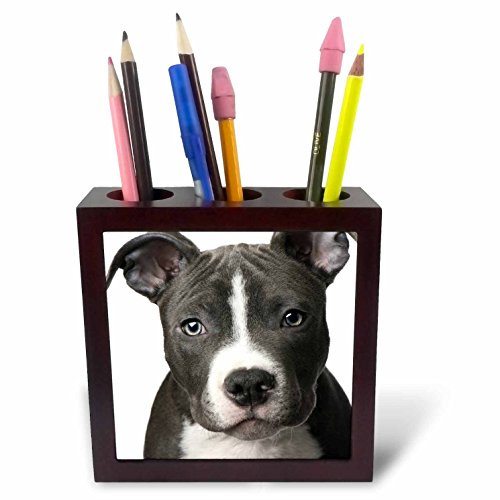 3drose American Pit Bull Terrier Puppy Pen Holder Image Tile, 5-Inch