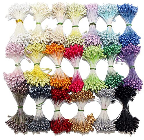 Weriirew 900pcs Aléatoire Mixte Double Têtes Fleur Étamine pour la Fabrication de Fleurs DIY Artificielle Mini Perle Fleur Étamine Pistil