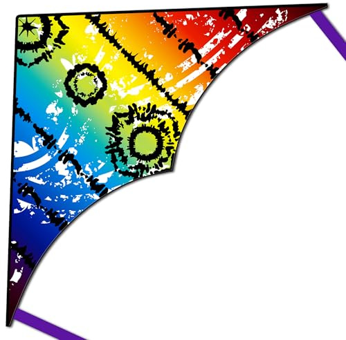 HONBO Kites for children,Huge Kites for Adults, Beginner Kite for Kids Easy to Fly, The Easiest Single Line, with 300ft String Kite Handle (SKY EYE)
