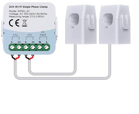 Entgoinggo Contatore di energia intelligente, monitor di utilizzo dell'elettricità WiFi a 2 canali bidirezionale 80A Smart Meter Monitor di energia con accesso ai dati in tempo reale