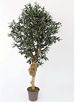 konstkrukväxt-Discount.com oliver konstträd 175 cm med tjock naturstam och 2560 textilfiberblad – konstolivträd med frukt