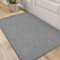 DEXI Indoor Door Mat 61 x 92 cm, Non Slip Rubber Backing, Low Profile Dirt Trapping Doormat for Muddy Shoes & Pet Paws, Washable Entrance Rug, Grey