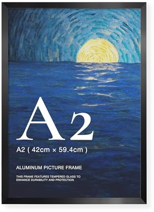 LIVINGTASTE Cadre Photo A2 Aluminium Noir Brossé avec verre trempé, 1 pièce convient pour 42x59,4 cm affiches, idéal pour la décoration murale du salon