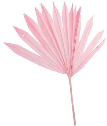 DRESSOOS Foglia Di Palma Ornamento D'arte Del Vaso Bouquet Di Foglie Di Palma Essiccate Materiale Per Composizioni Floreali Ventaglio Di Foglie Di Palma Essiccate Fiori Secchi Rosa