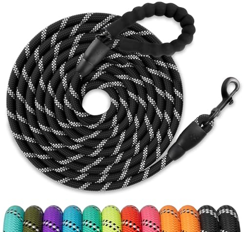 AMFUN Hundkoppel, 10 m, hundkoppel, reflekterande, långt hundkoppel med säkerhetskrok och vadderat handtag för alla hundar