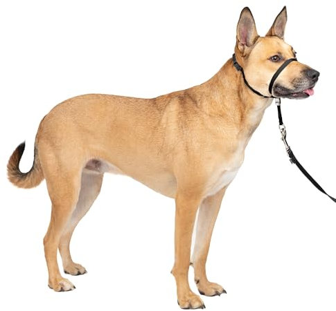 Premier Easy Walk Hundehalsband mit Maulschlinge, schwarz, Größe M