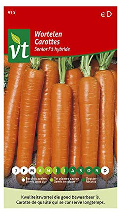 Carottes Senior F1 hybride Graines - Racines longues de belle couleur orange et au bout écrasé