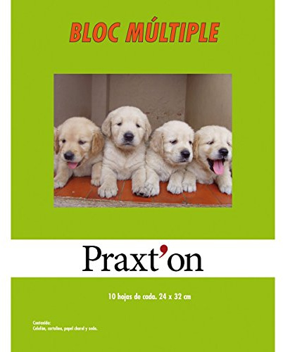 Papel Manualidades PRAXTON, Bloc x40 Hojas Surtidas